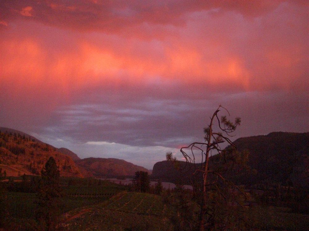 Bighorn Ridge Guesthouse Okanagan Falls Eksteriør bilde