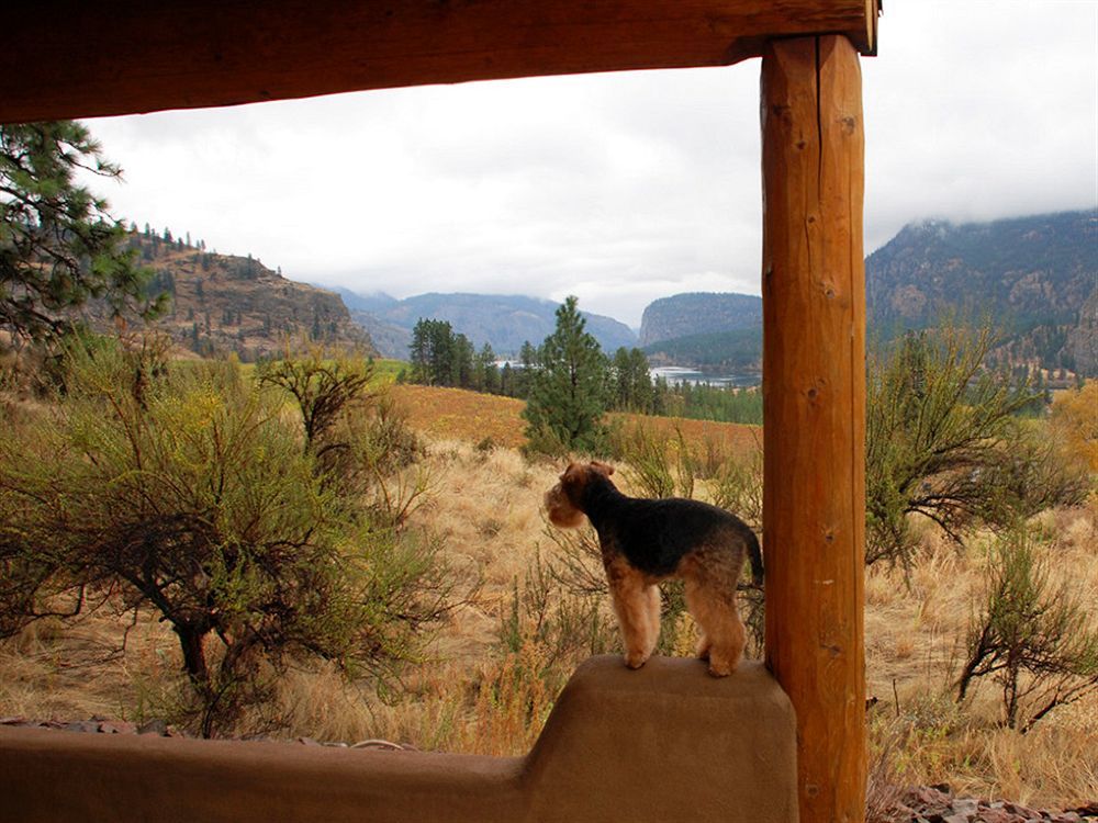 Bighorn Ridge Guesthouse Okanagan Falls Eksteriør bilde