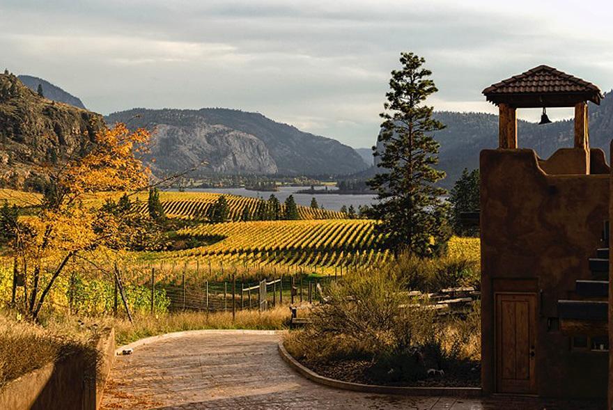 Bighorn Ridge Guesthouse Okanagan Falls Eksteriør bilde